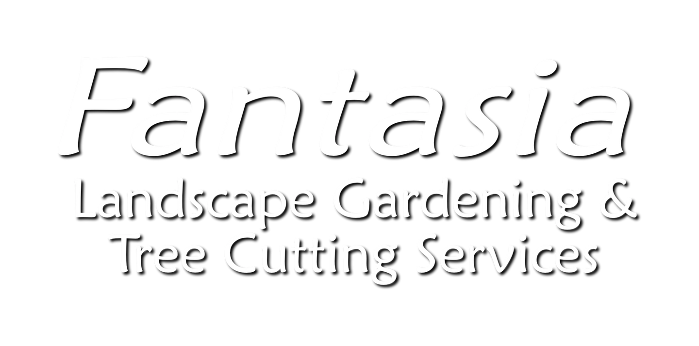 Uddify Services