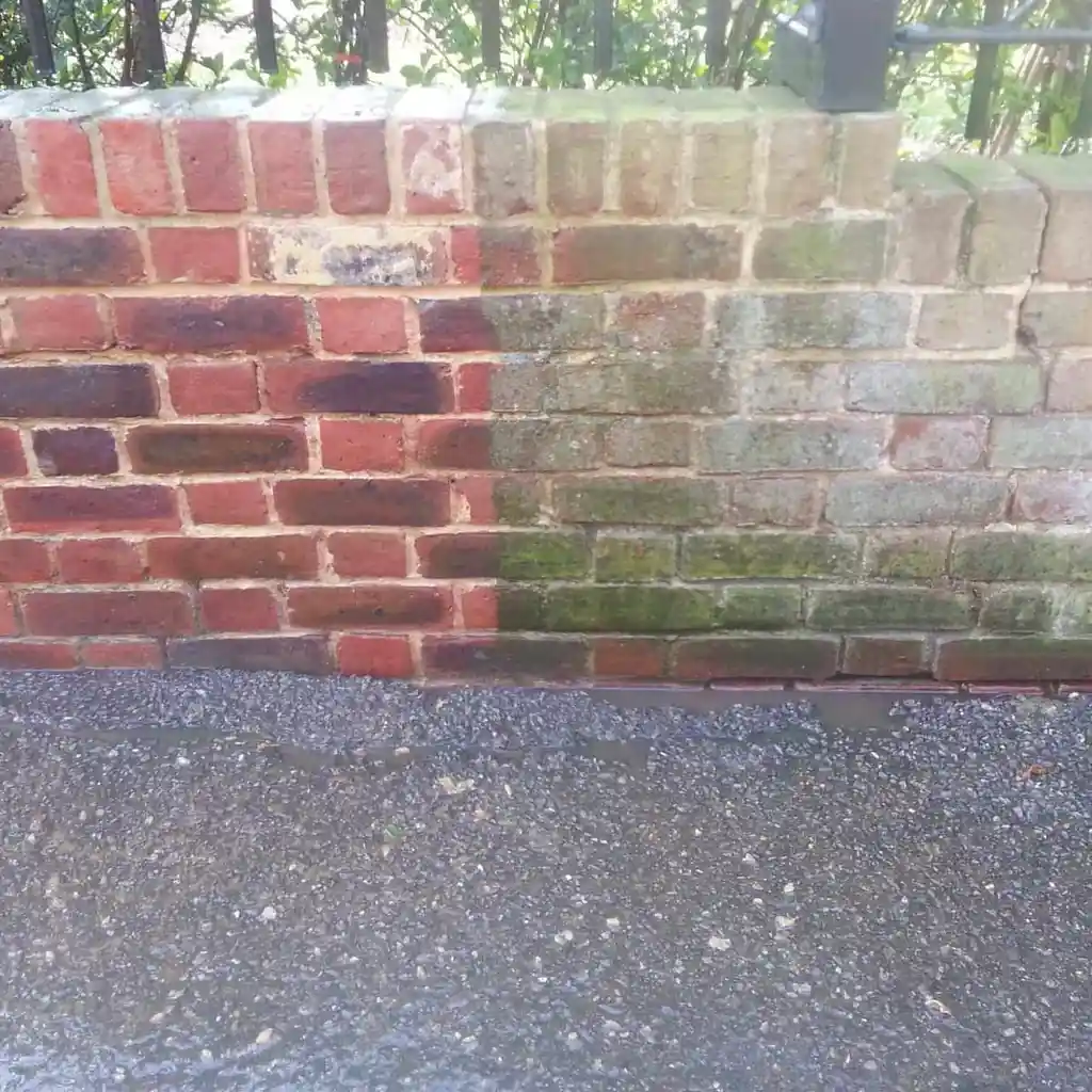 Autoplay image image 3